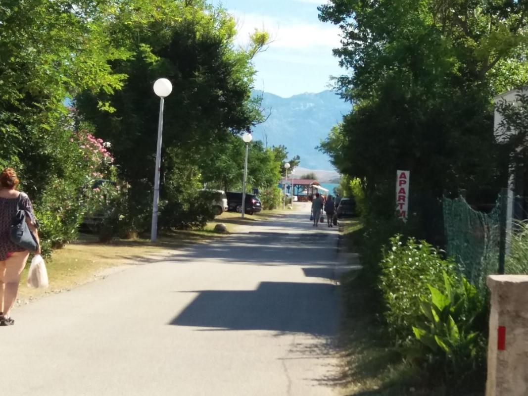 Apartment Visnja -Near Queen Beach Nin Exterior foto